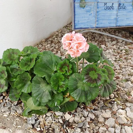 Affittacamere Le Sette Perle